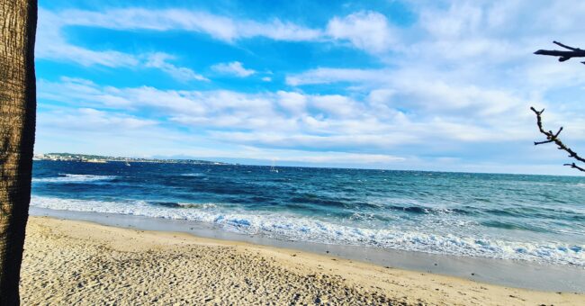 IMG_20230125_131410_112